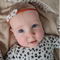 Haarbandje Madeliefjes